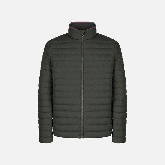Short down jacket WARRENS MAN Light scarab | GEOX