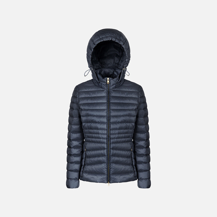Short down jacket JAYSEN WOMAN Sky captain | GEOX