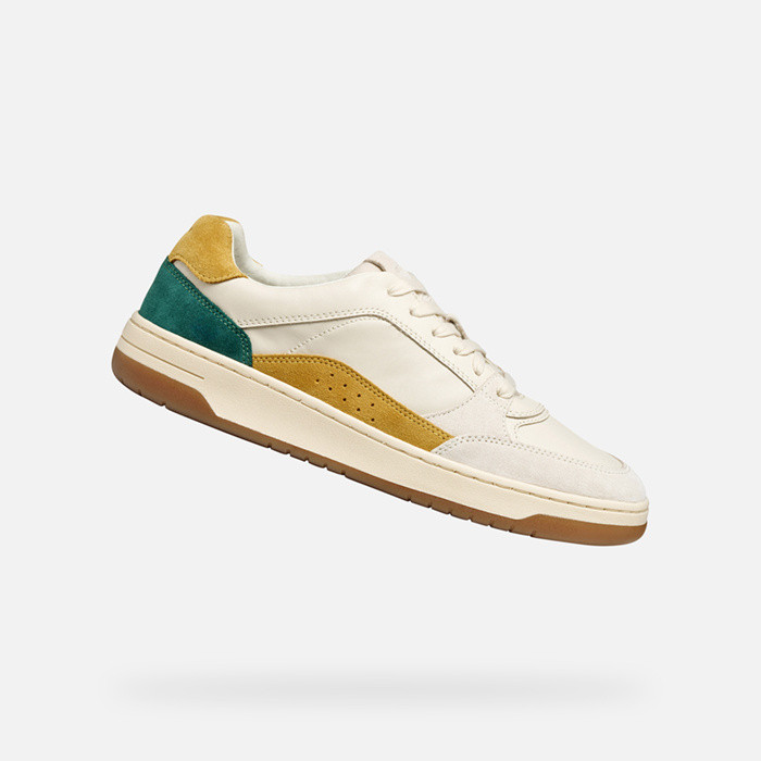 Low top sneakers SEDRAL COURT MAN Papyrus/Light sand | GEOX