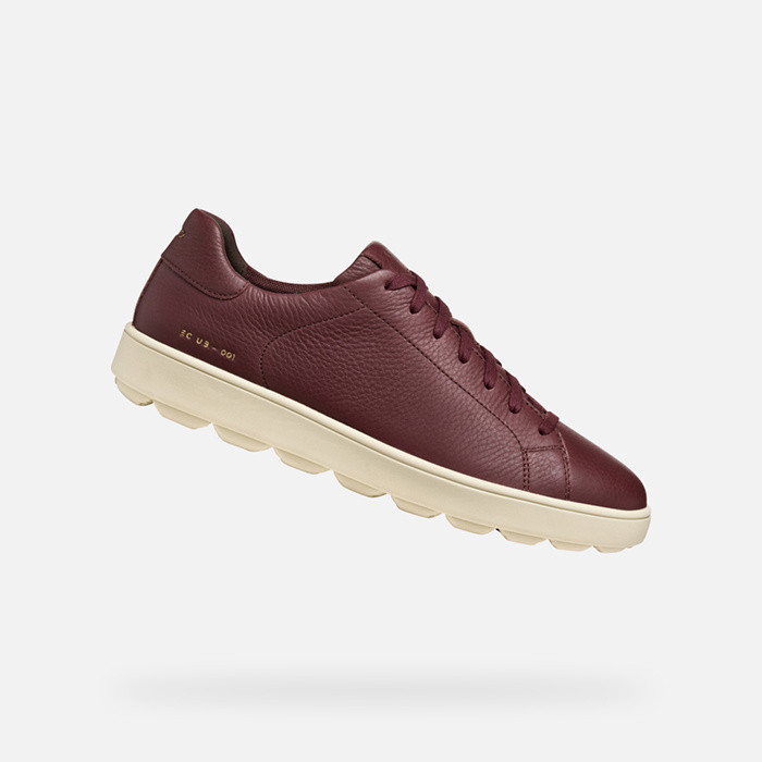 Low top sneakers SPHERICA ECUB-1 MAN Wine | GEOX