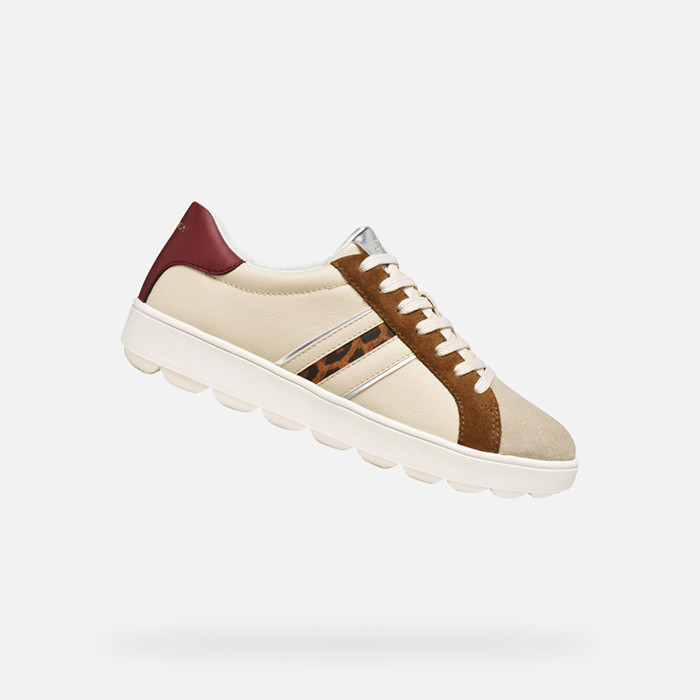 Low top sneakers SPHERICA ECUB-1 WOMAN Papyrus/Mud | GEOX